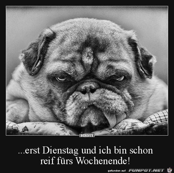 eerst Dienstag,......