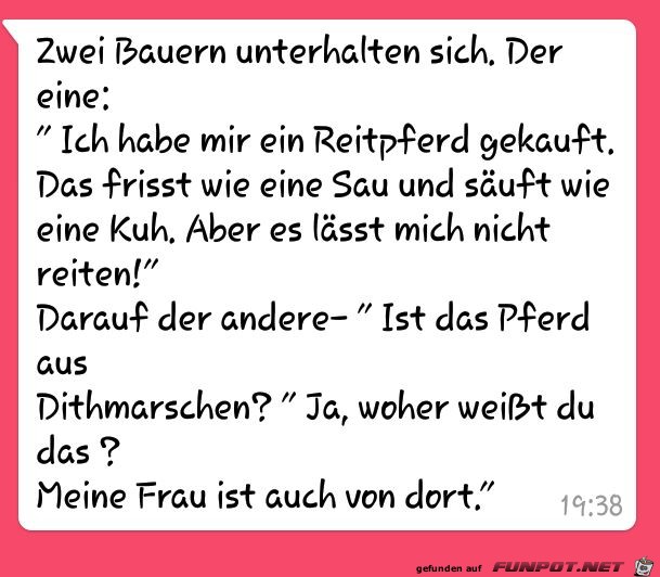 Reitpferd gekauft Reitpferd gekauft