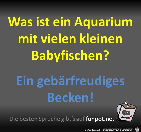 Aquarium Aquarium
