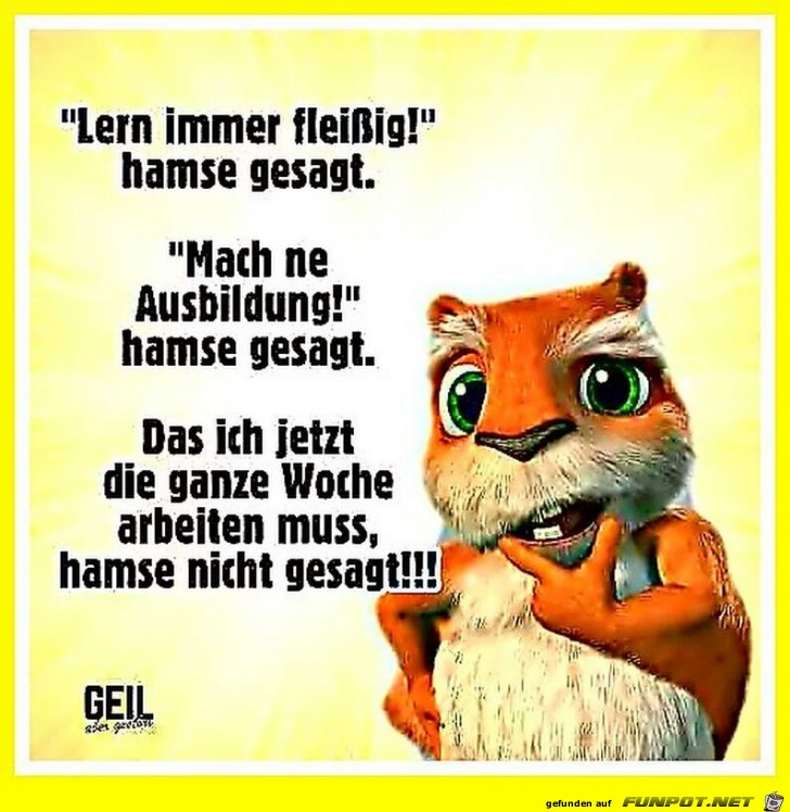 Lern immer fleiig....