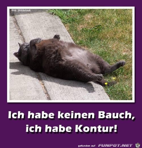 Ich habe keinen Bauch Ich habe keinen Bauch