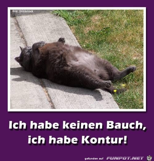 Ich habe keinen Bauch 