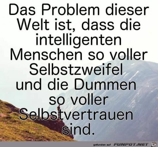 Das Problem dieser Welt