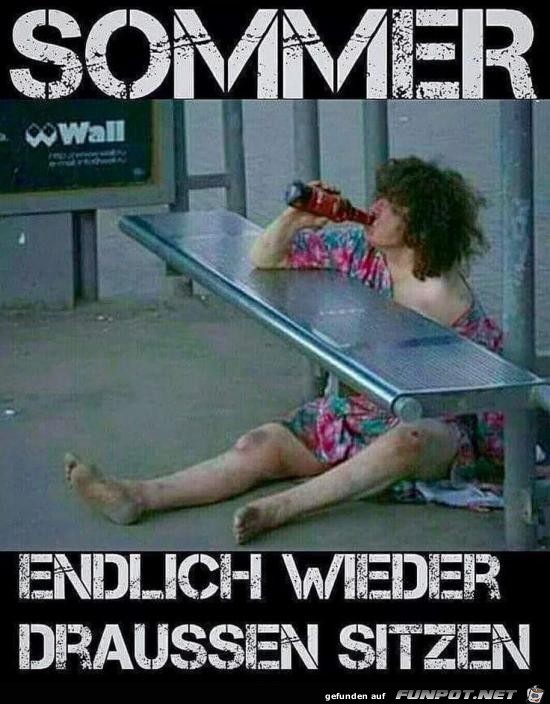 Sommer Sommer