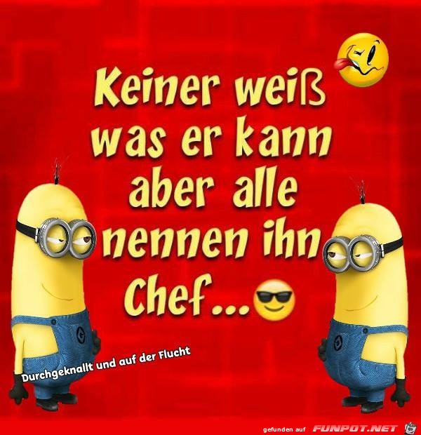 Keiner weiss Keiner weiss