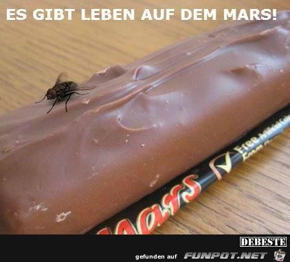 auf dem Mars