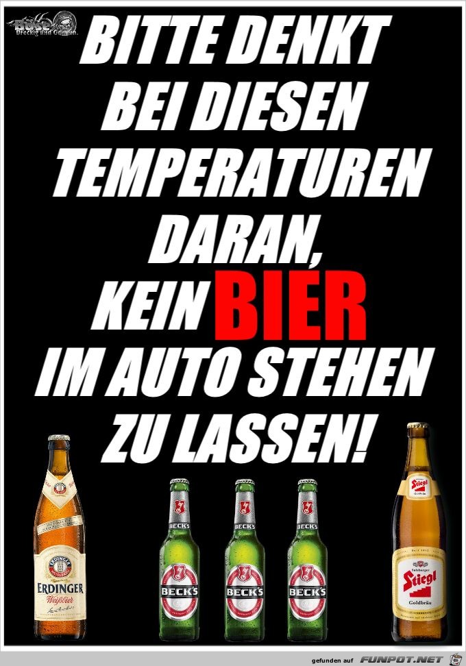 Bier