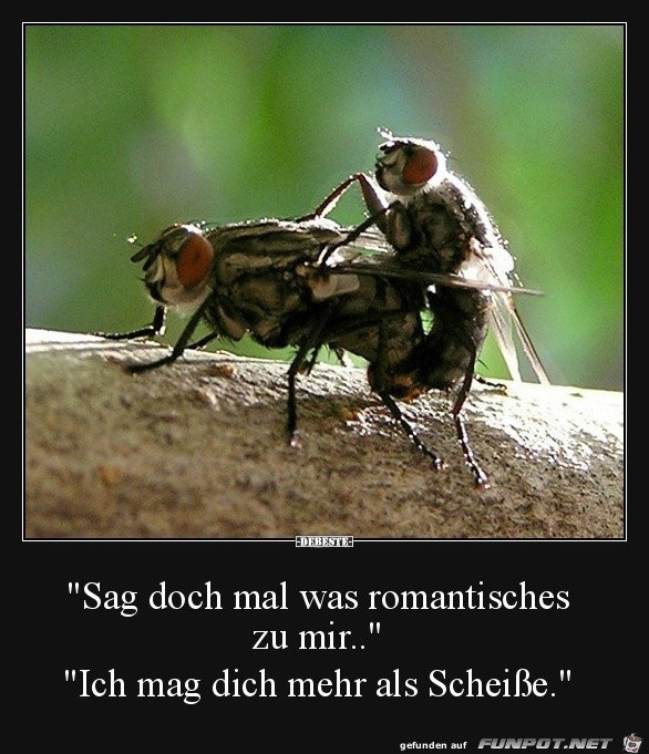 sag Mal was romantisches sag Mal was romantisches
