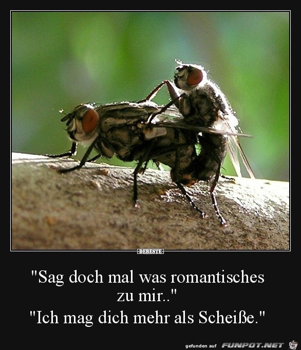 sag Mal was romantisches