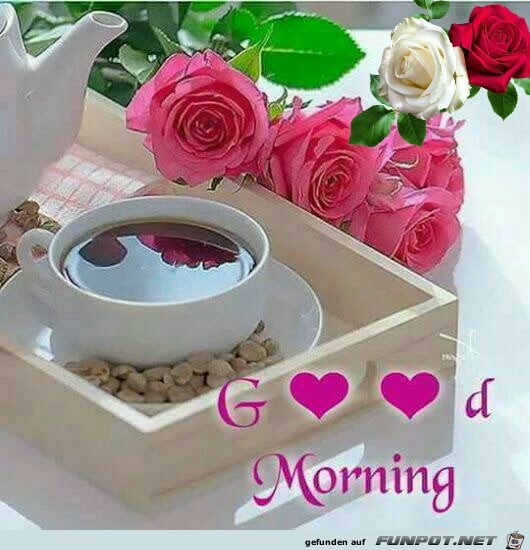 Good Morning Good Morning