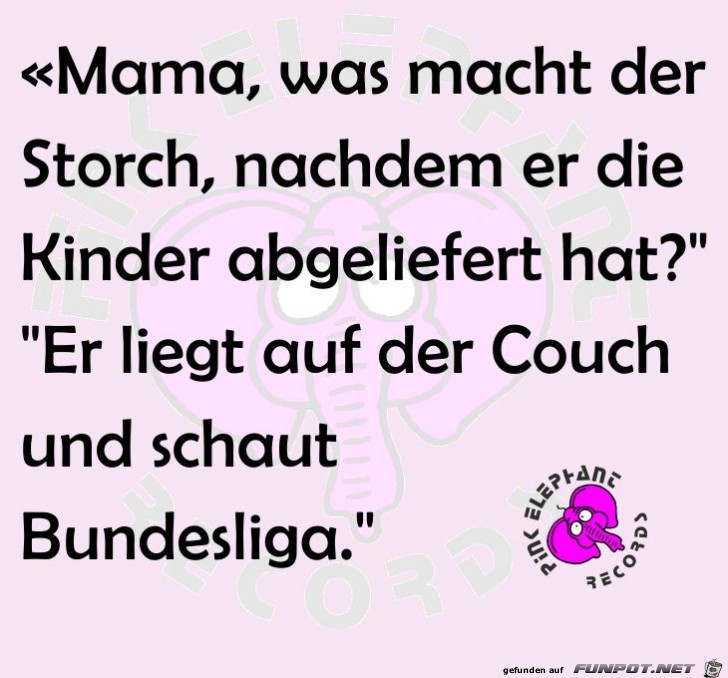 Storch Storch