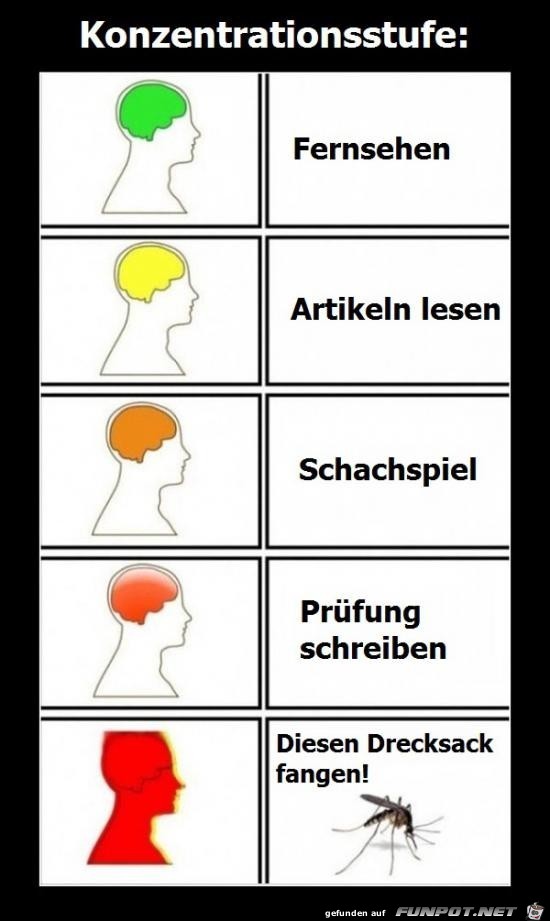 Kommt hin Kommt hin