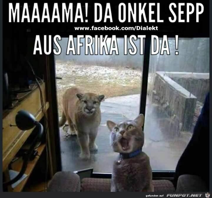 Mama der Onkel Sepp aus Afrika ist da... Mama der Onkel Sepp aus Afrika ist da...