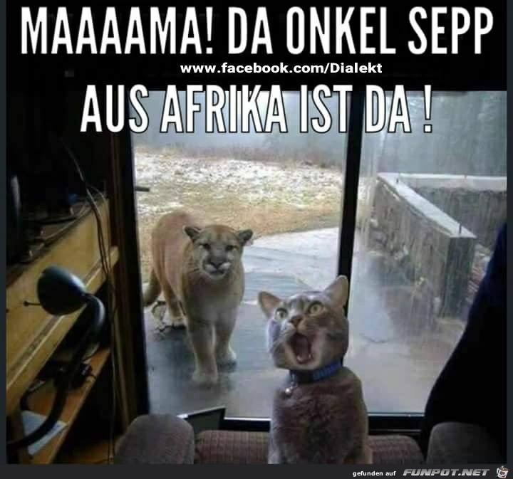 Mama der Onkel Sepp aus Afrika ist da...