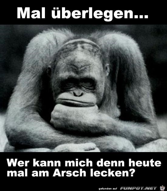 Mal überlegen Mal überlegen
