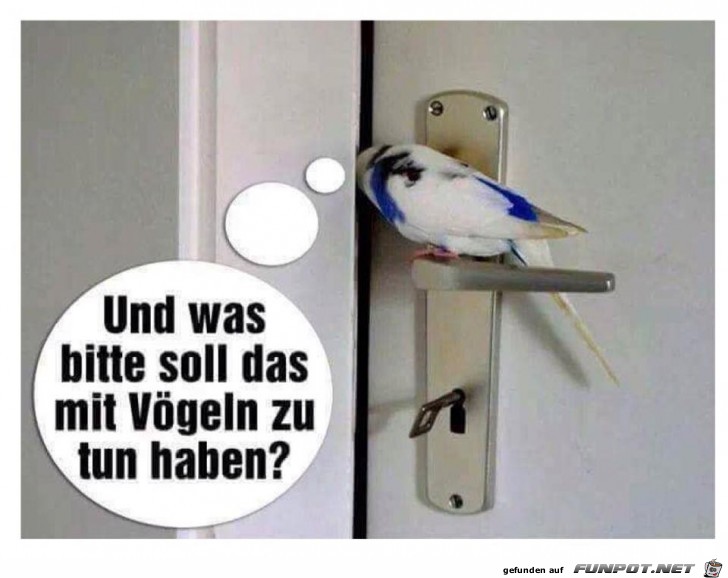 Gute Frage Gute Frage