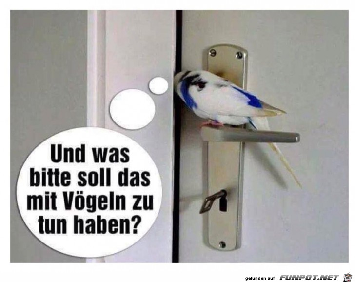 Gute Frage