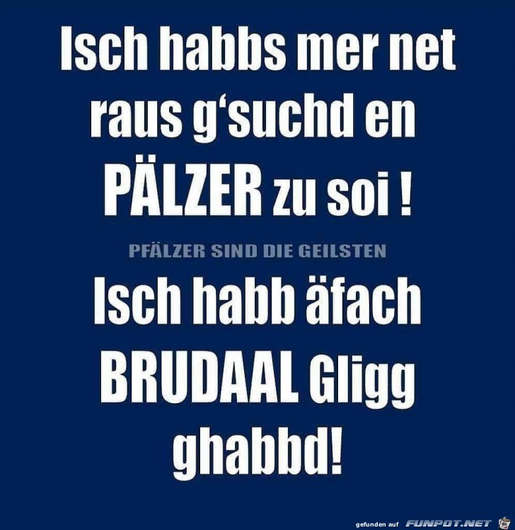 Pfaelzer Pfaelzer