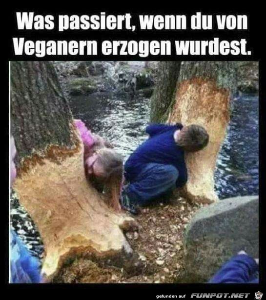 es passiert es passiert