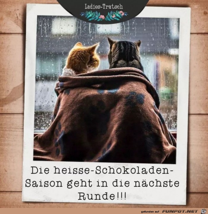 die hei sse Schokoladen saison die hei sse Schokoladen saison
