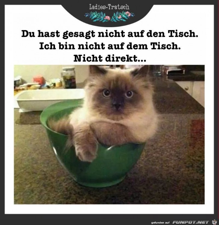 du hast gesagt du hast gesagt