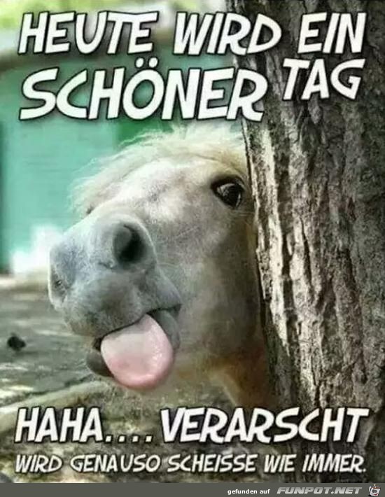 ein schöner Tag ein schöner Tag