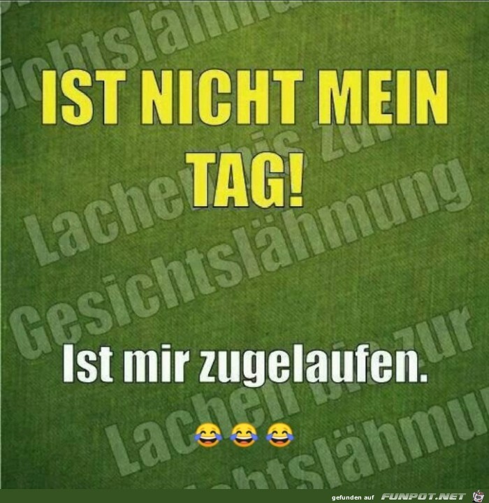nicht mein Tag nicht mein Tag