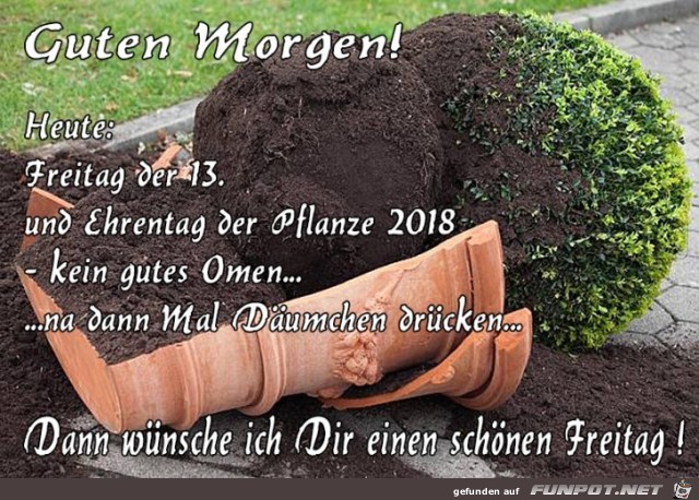 Freitag Freitag