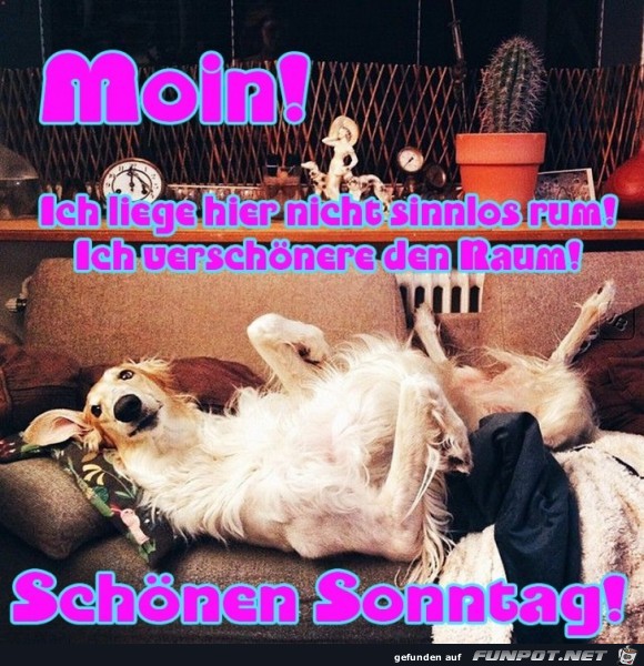 Sonntag Sonntag