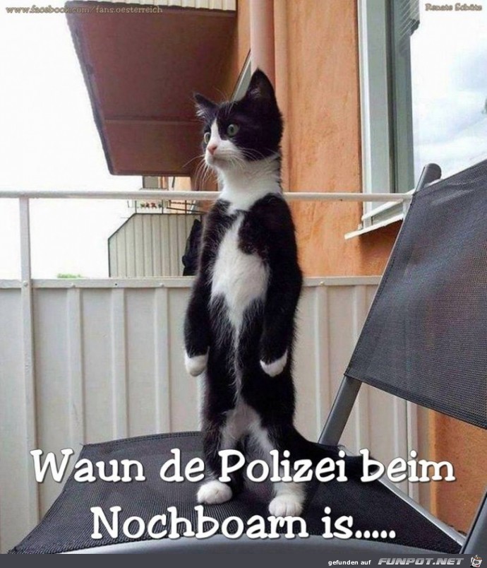 Polizei beim Nachbarn Polizei beim Nachbarn