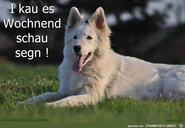 Kann das Wochenend Kann das Wochenend