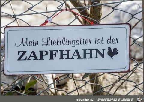 Zapfhahn