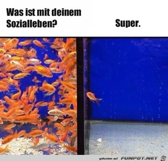 Alles klar Alles klar