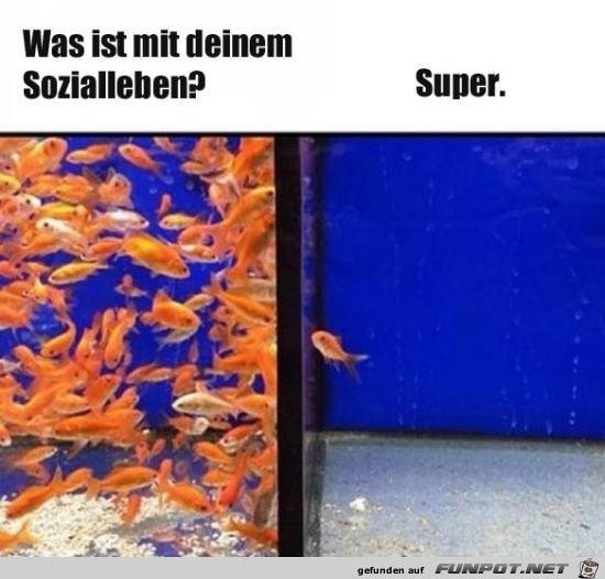 Alles klar