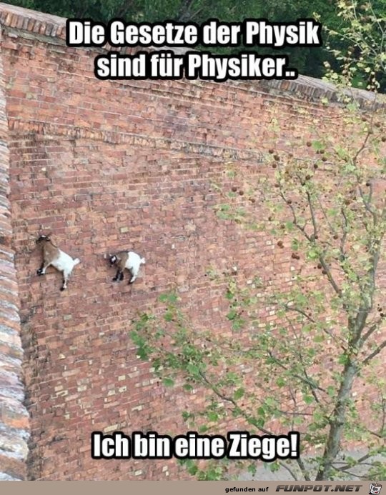 Super Kletterer Super Kletterer