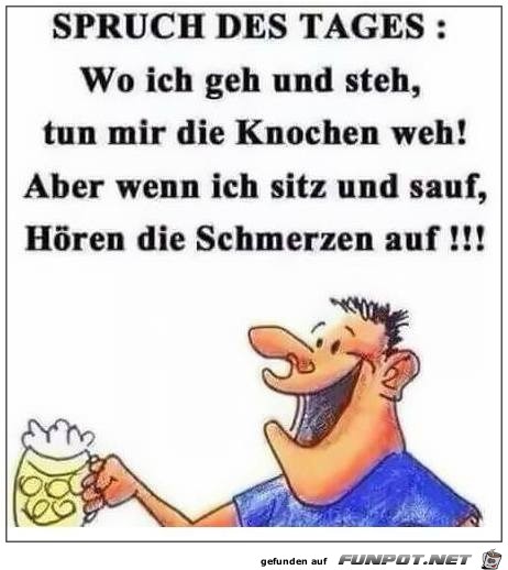 Spruch des Tages