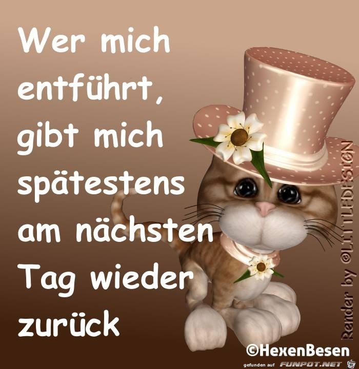 Wer mich entfuehrt Wer mich entfuehrt