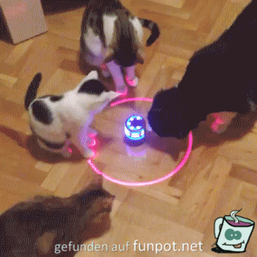 was ist das was ist das