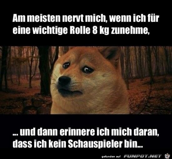 Das ist blöd Das ist blöd