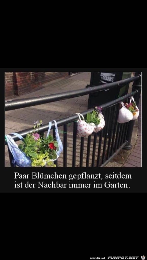 Blmchen gepflanzt