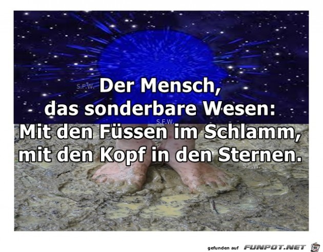 Der Mensch das sonderbare Der Mensch das sonderbare