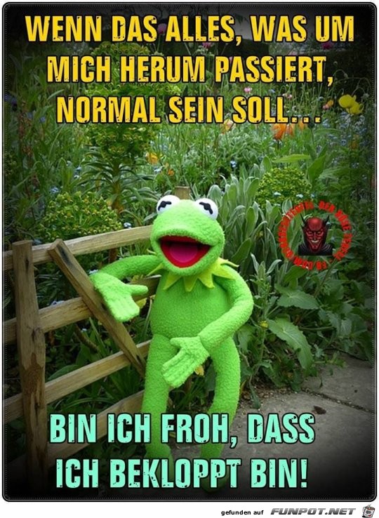 Bin ich bekloppt