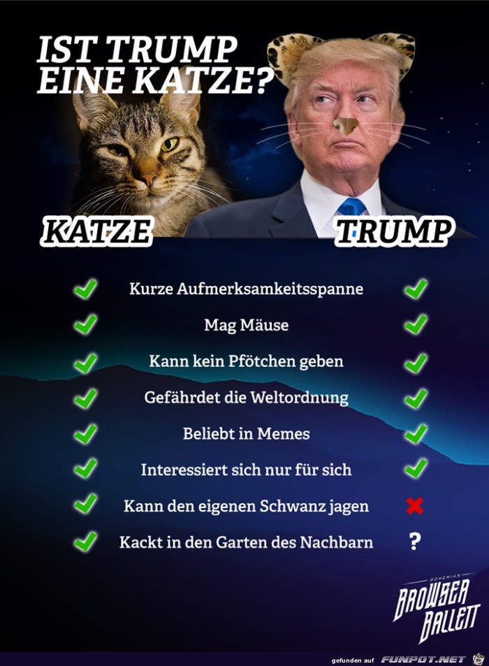 Ist Trump eine Katze Ist Trump eine Katze