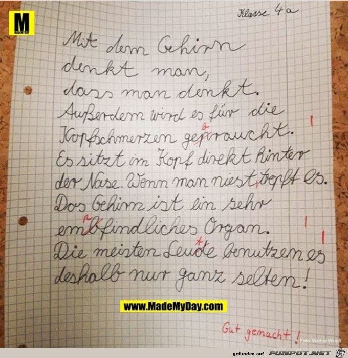 das Gehirn das Gehirn