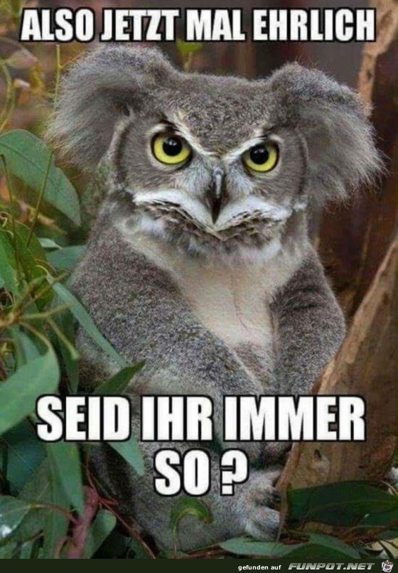 seid ihr immer so 