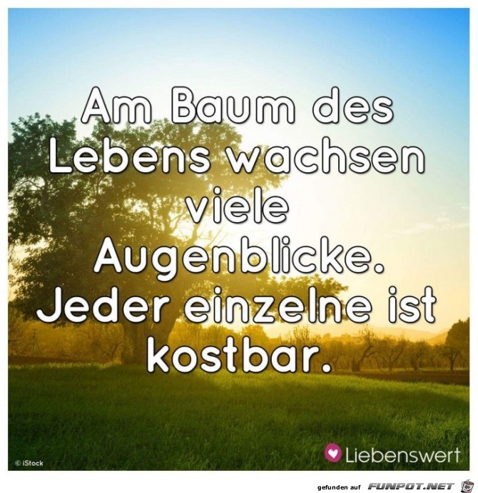 am baum des Lebens am baum des Lebens