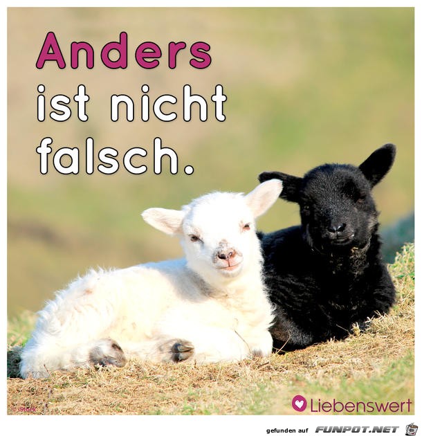anders anders