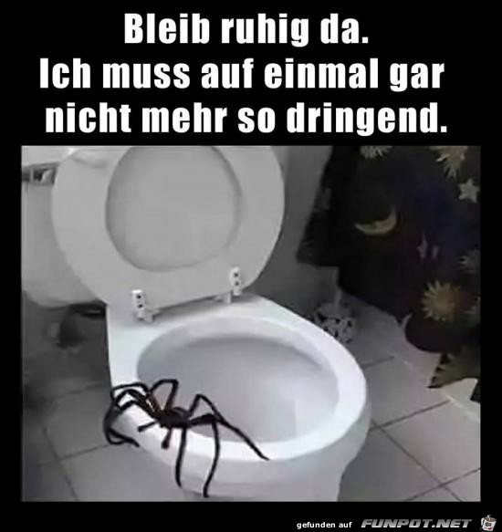 bleib ruhig da... bleib ruhig da...