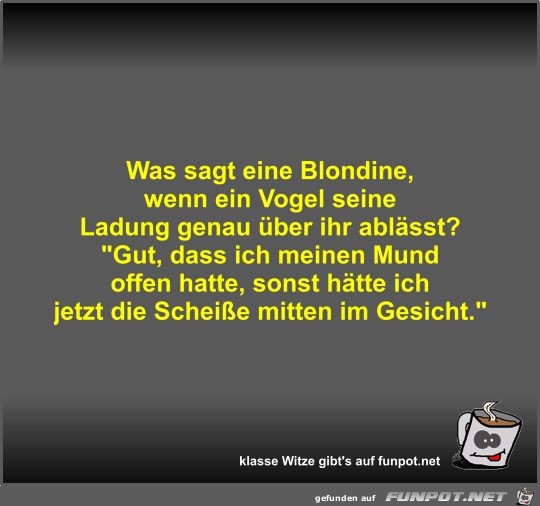 Was sagt eine Blondine Was sagt eine Blondine