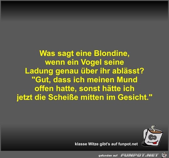 Was sagt eine Blondine